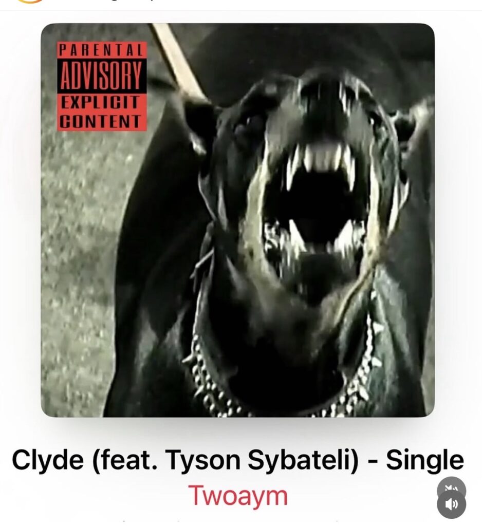 Dobermans for hire for film, television, and music videos