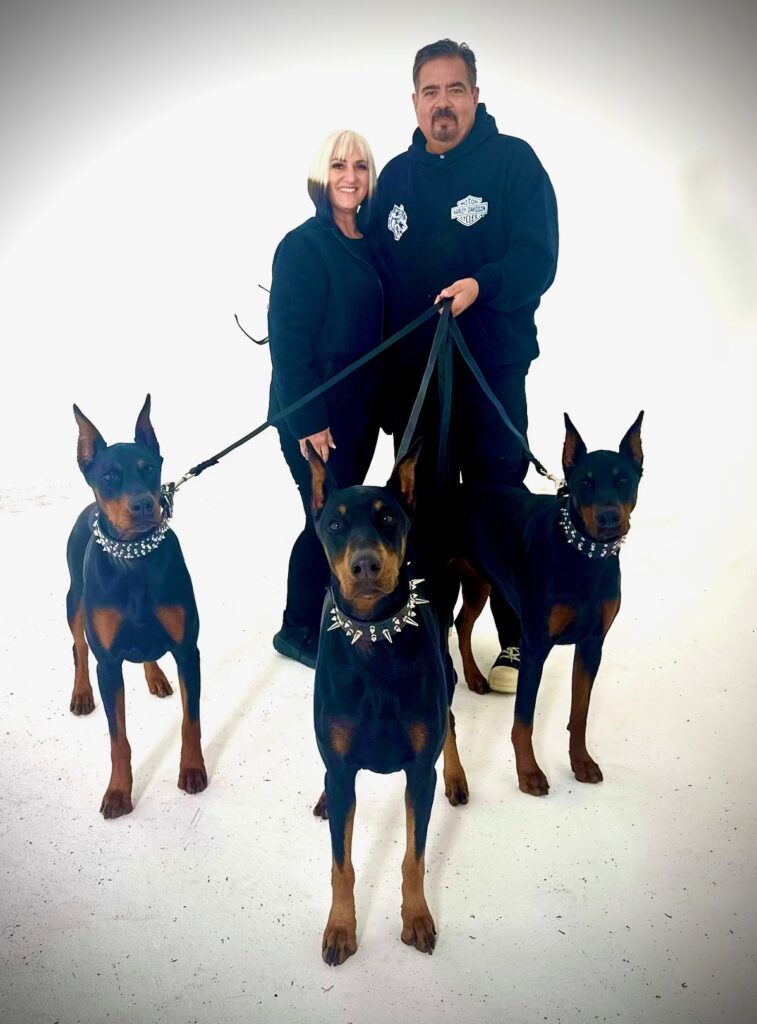 Dobermans for hire led by veteran animal trainer Karl Miller