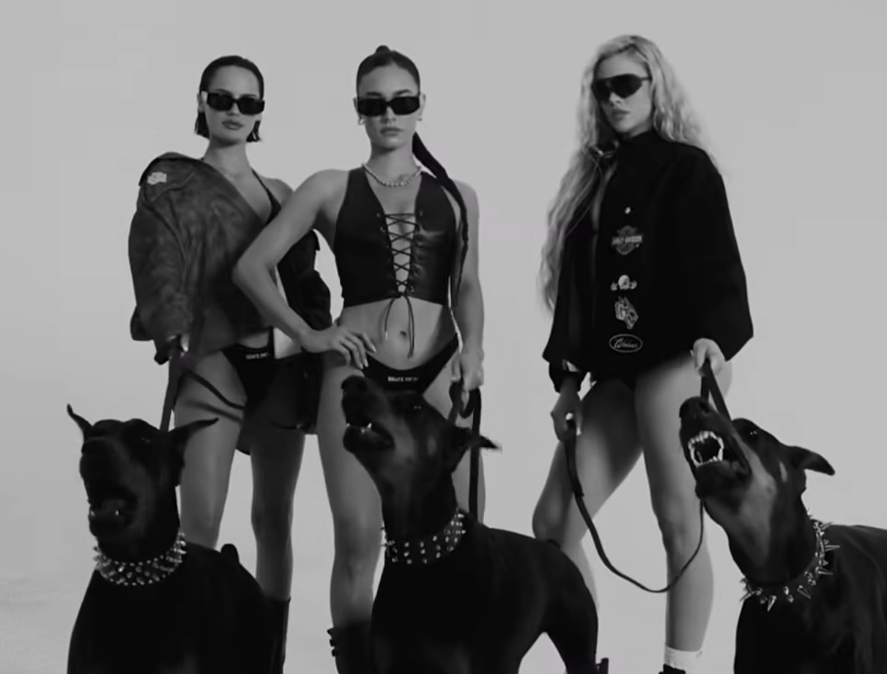 Working Dobermans for music videos and visual media